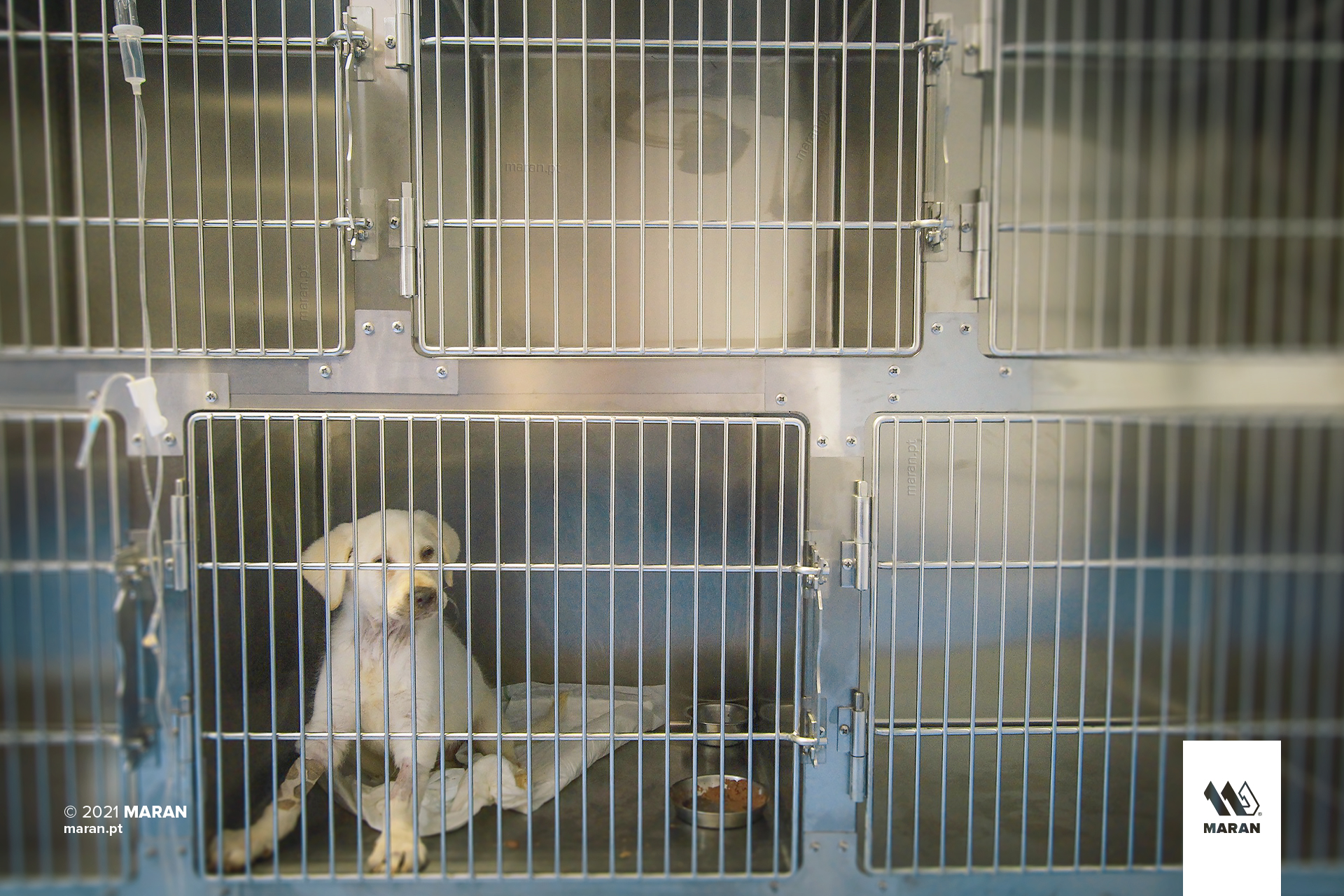 Modular animal cages